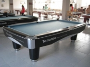 Bàn billiards 9017