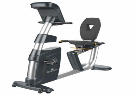 Xe Đạp Tập Cao Cấp Có Tựa Lưng Impulse RR500 Recumbent Bike