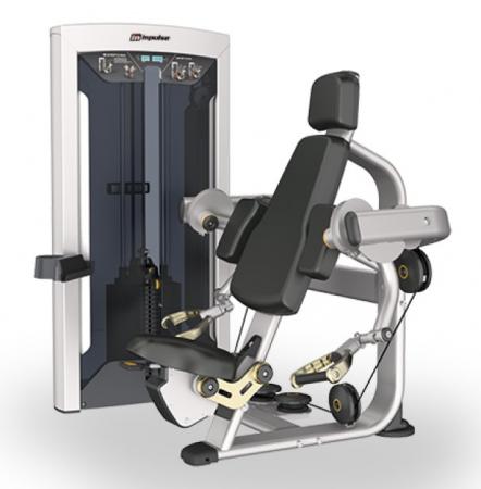 Máy tập cơ tay trước Impulse FE9703